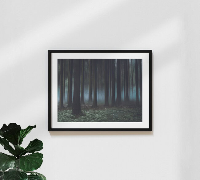Märchenwald, Deutschland – Fotokunst von Sonja Lautner als Poster oder Acrylglasbild