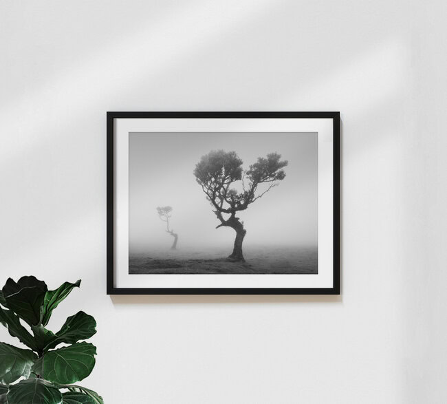 Fogland, Portugal – Fotokunst von Sonja Lautner als Poster oder Acrylglasbild