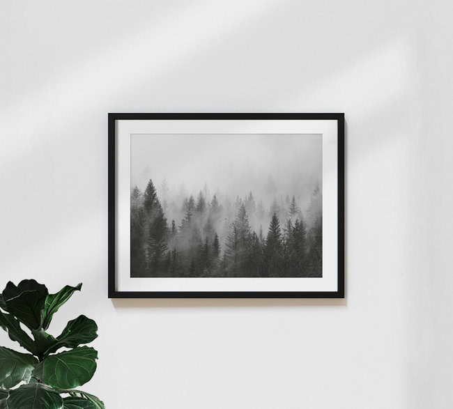 B&W Forest, Germany – wall art by Seven Trees Design as Poster or Acrylic Glass Print
