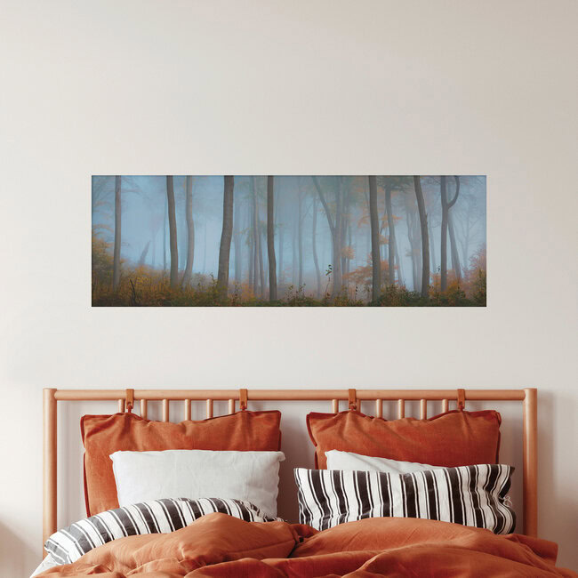 Foggy Forest - Panorama, Germany – wall art by Martin Wasilewski as Poster or Acrylic Glass Print