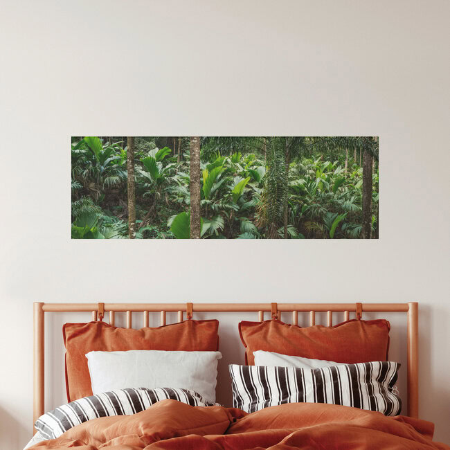 Tropischer Regenwald, Brasilien – Fotokunst von Jan Becke als Poster oder Acrylglasbild