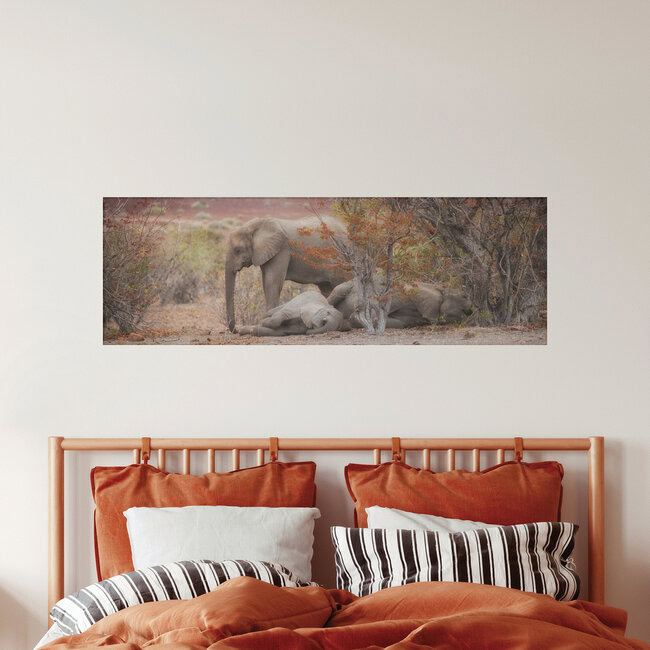 Schlafende Elefanten in der Wüste, Deutschland – Fotokunst von Dennis Wehrmann als Poster oder Acrylglasbild