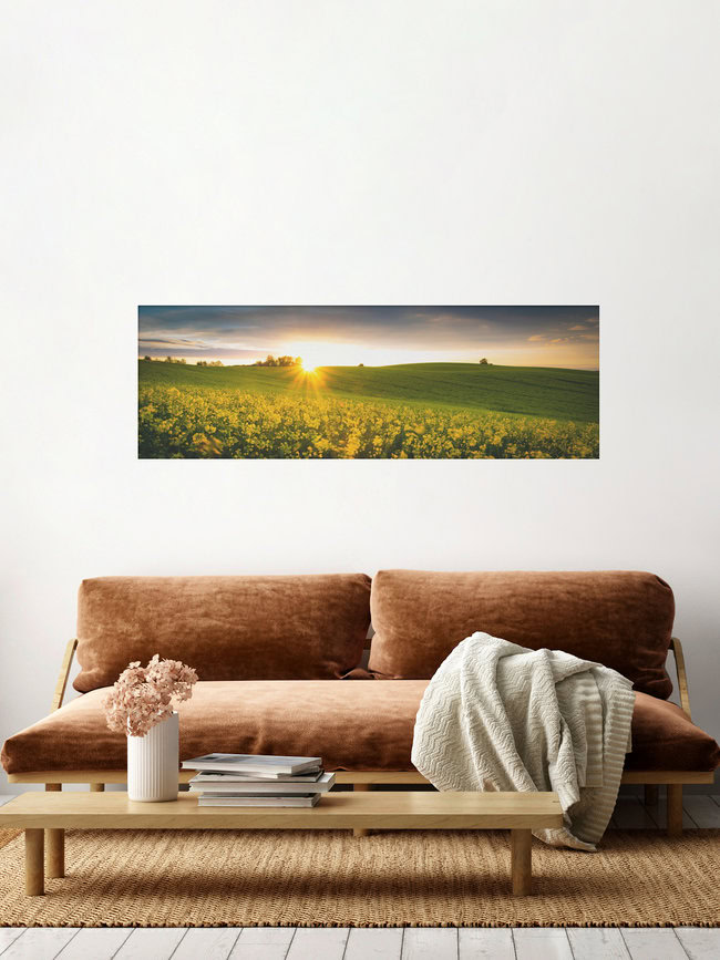 Rapsfeld im Sonnenuntergang, Deutschland – Fotokunst von Martin Wasilewski als Poster oder Acrylglasbild