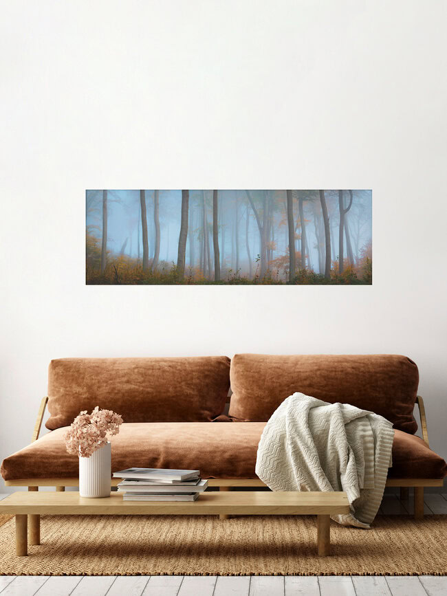 Foggy Forest - Panorama, Germany – wall art by Martin Wasilewski as Poster or Acrylic Glass Print