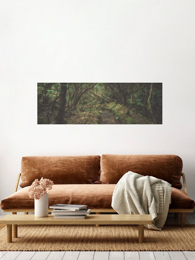 Teneriffa Anaga Lorbeerwald, Spanien – Fotokunst von Jean Claude Castor als Poster oder Acrylglasbild