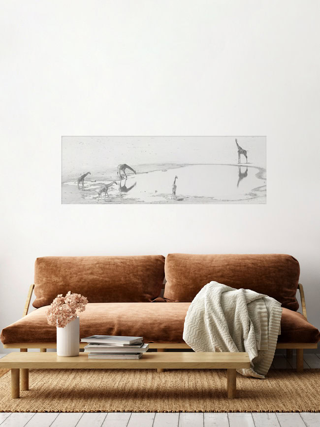 Giraffes at the waterhole in the Etosha Nationalpark Namibia, Namibia – wall art by Dennis Wehrmann as Poster or Acrylic Glass Print