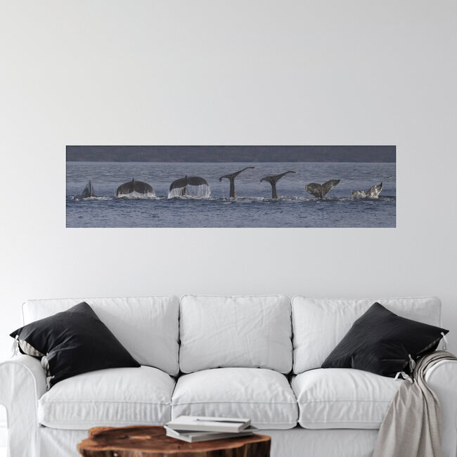Abtauchender Buckelwal, Chile – Fotokunst von Dirk Heckmann als Poster oder Acrylglasbild