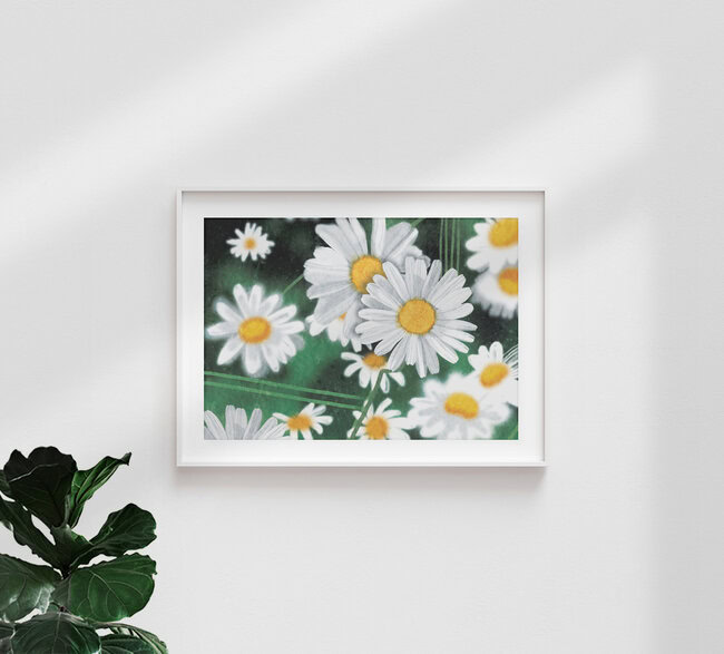 'daisies' – Wall Art by Katherine Blower as Poster or Acrylic Glass Print