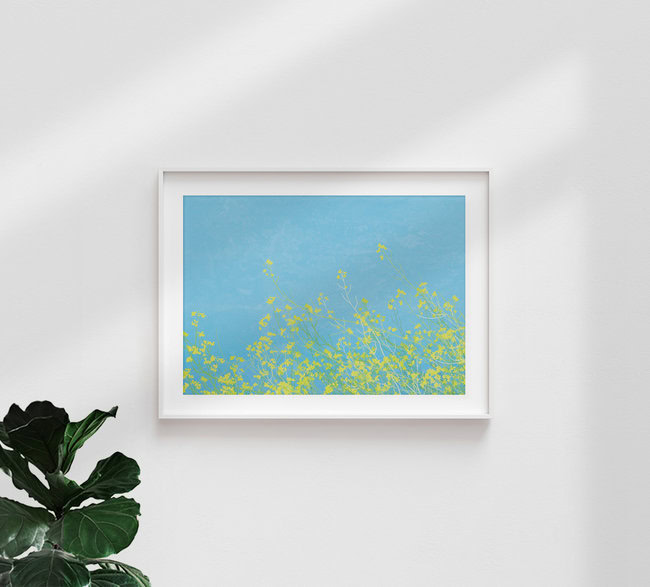Wandbild 'Yellow Flowers' – Kunst von Katherine Blower als Poster oder Acrylglasbild