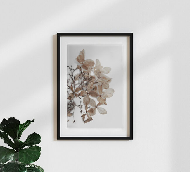 snowy hydrangea flowers 1 of 2 - Hortensie, Germany – wall art by Studio Na.hili as Poster or Acrylic Glass Print