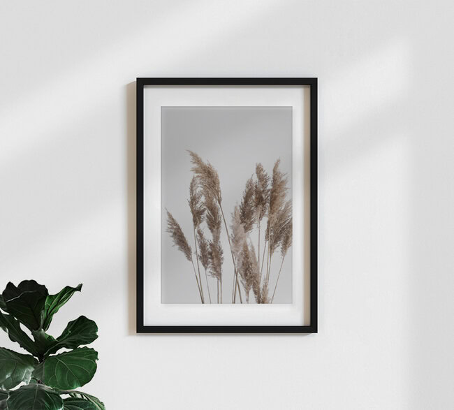 Pampas reed in the WIND, Germany – wall art by Studio Na.hili as Poster or Acrylic Glass Print