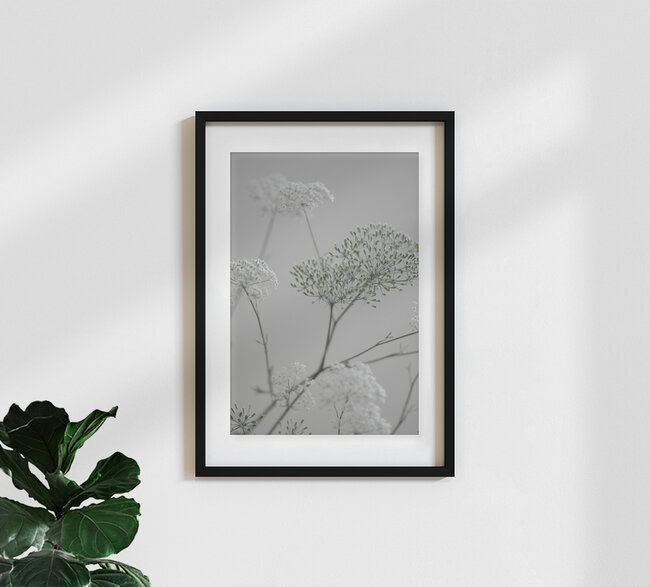 white greige flower blossoms, Deutschland – Fotokunst von Studio Na.hili als Poster oder Acrylglasbild
