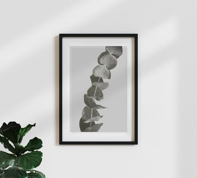 dried eucalytus branches 1 of 3, Germany – wall art by Studio Na.hili as Poster or Acrylic Glass Print