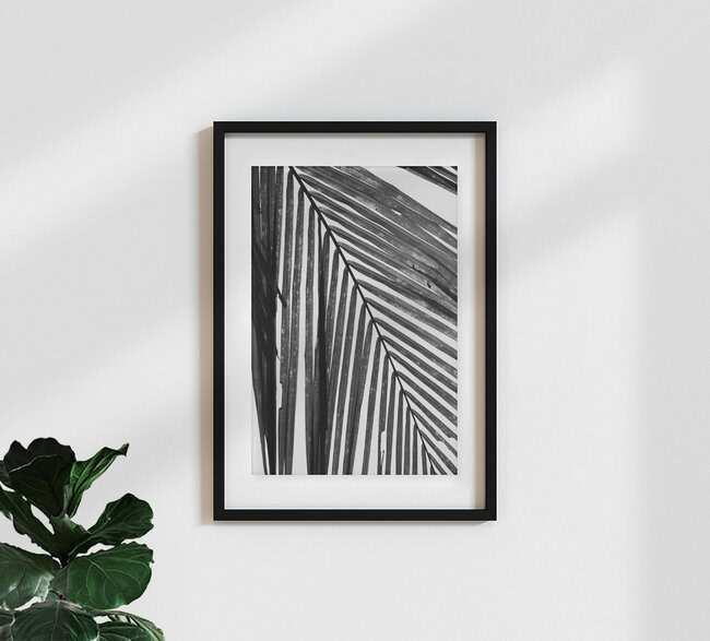 black and white palm leaf, Germany – wall art by Studio Na.hili as Poster or Acrylic Glass Print