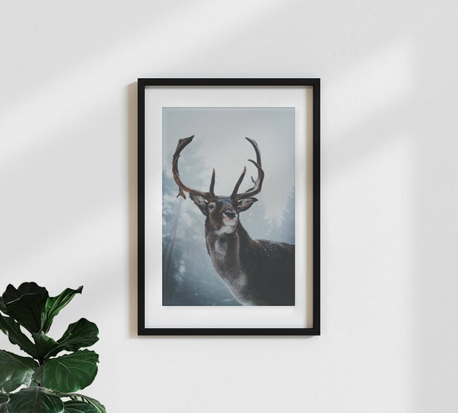 Der Wächter des Waldes, Deutschland – Fotokunst von Patrick Monatsberger als Poster oder Acrylglasbild