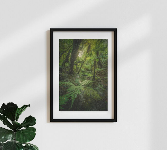 Neuseeland Urwald am Fox Glacier, Neuseeland – Fotokunst von Jean Claude Castor als Poster oder Acrylglasbild