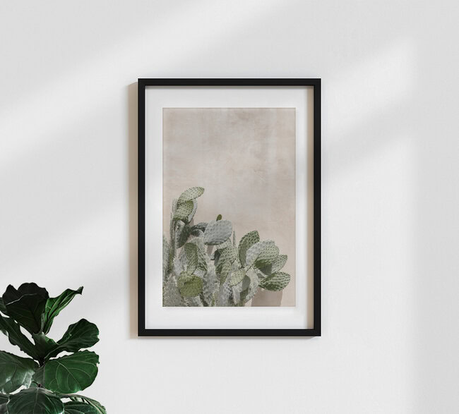 Cactus on the wall, Italien – Fotokunst von Photolovers . als Poster oder Acrylglasbild