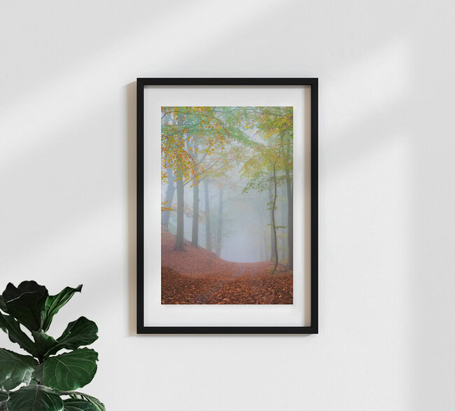 Waldweg im Nebel, Deutschland – Fotokunst von Martin Wasilewski als Poster oder Acrylglasbild