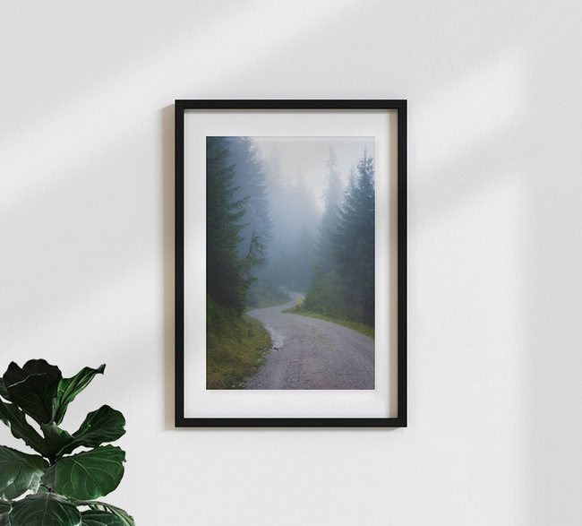 Foggy Path in the Alps, Austria – wall art by Martin Wasilewski as Poster or Acrylic Glass Print