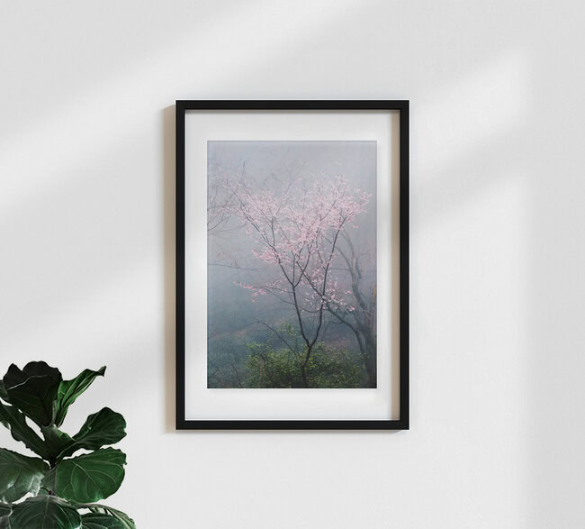 Spring blossoms in China, China – wall art by Victoria Knobloch as Poster or Acrylic Glass Print