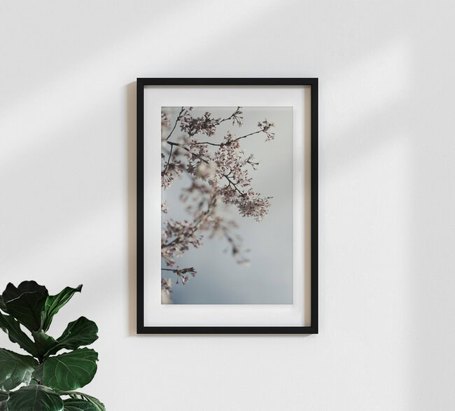 Spring whispers, Germany – wall art by Manuela Deigert as Poster or Acrylic Glass Print