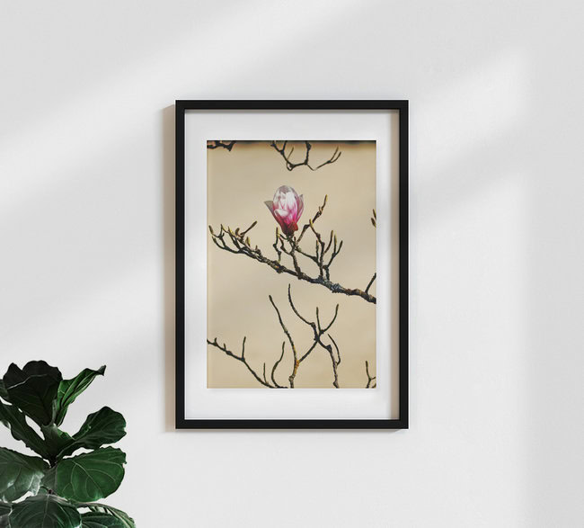 Frühlingserwachen, Deutschland – Fotokunst von Manuela Deigert als Poster oder Acrylglasbild
