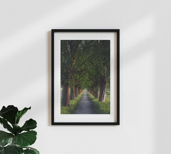 Chestnut Alley, Germany – wall art by Maximilian Fischer as Poster or Acrylic Glass Print