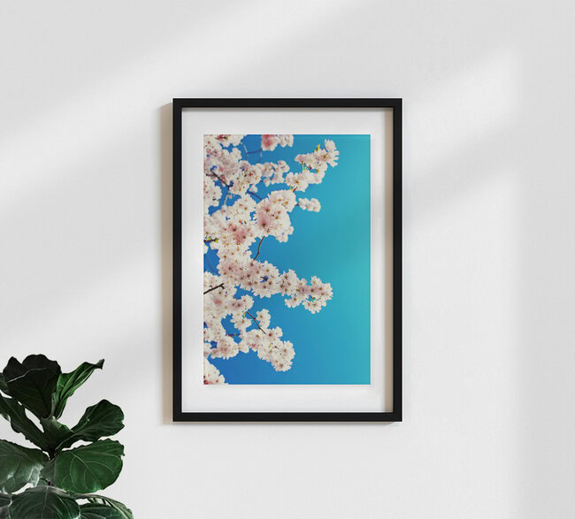Sky blossoms, Germany – wall art by Manuela Deigert as Poster or Acrylic Glass Print