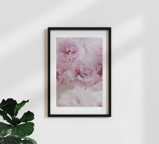 Cherry Blossoms in Full Bloom, Germany – wall art by Nadja Jacke as Poster or Acrylic Glass Print