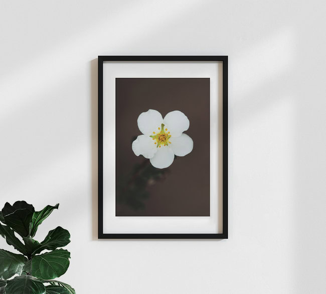 Wide open, Germany – wall art by Manuela Deigert as Poster or Acrylic Glass Print