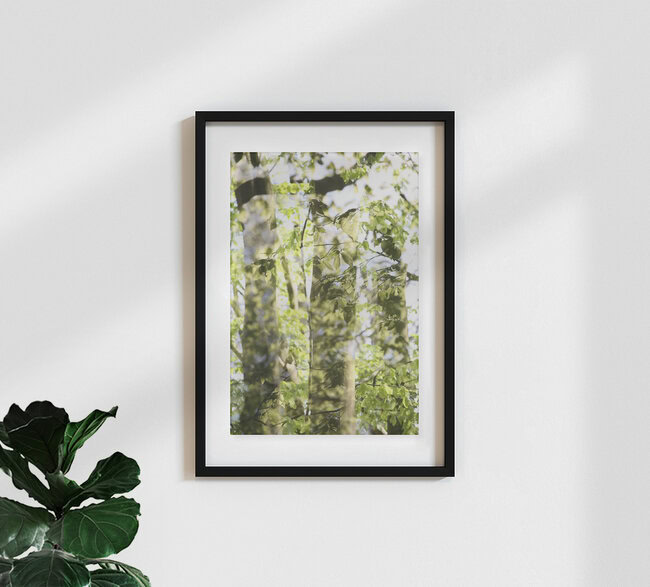 Wald, Deutschland – Fotokunst von Rolf Bökemeier als Poster oder Acrylglasbild