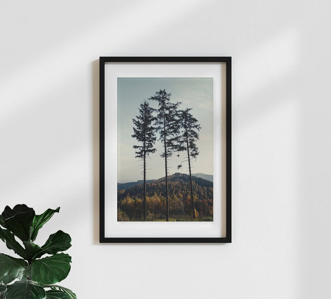 Tönsberg im Teutoburger Wald im Herbst, Deutschland – Fotokunst von Nadja Jacke als Poster oder Acrylglasbild