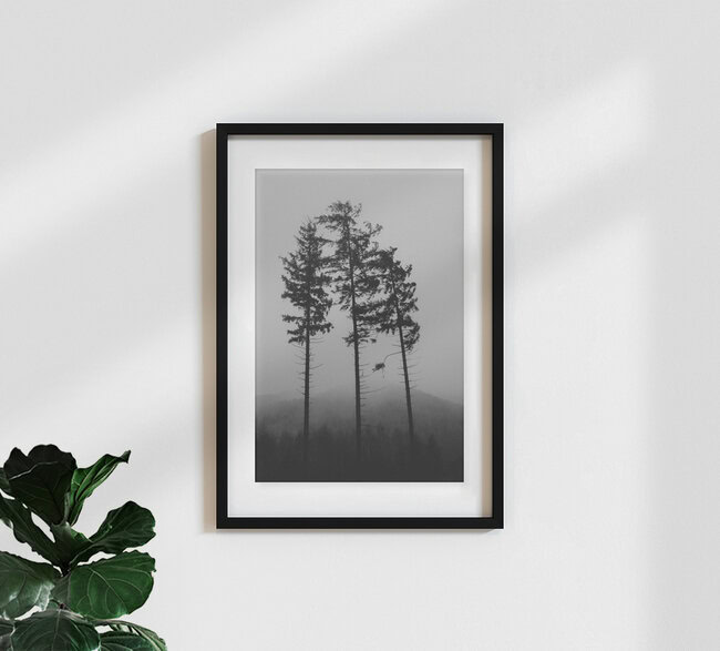 Tönsberg im Teutoburger Wald im November, Deutschland – Fotokunst von Nadja Jacke als Poster oder Acrylglasbild