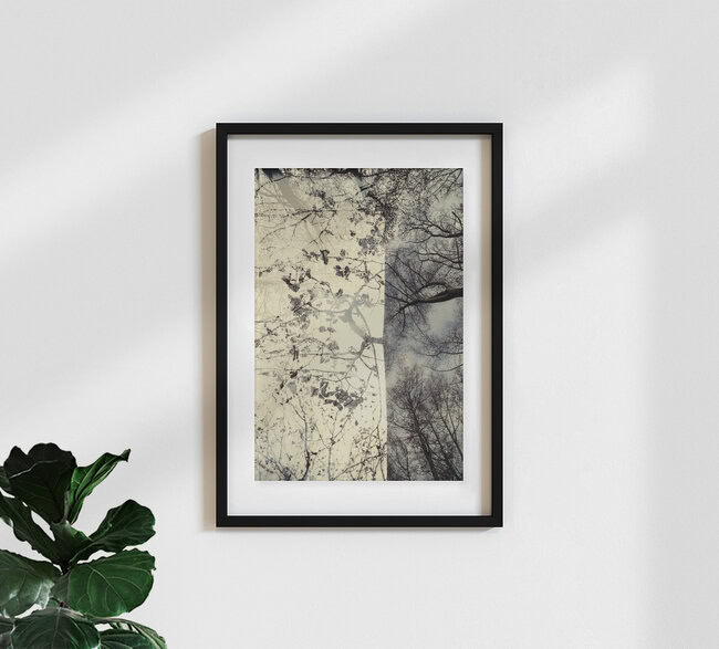 Zauberwald, Deutschland – Fotokunst von Rolf Bökemeier als Poster oder Acrylglasbild