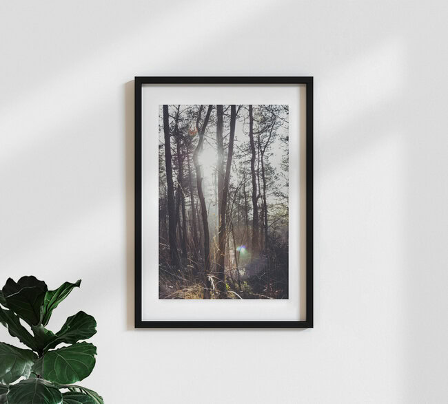 Teutoburger Wald in strahlendem Sonnenlicht, Deutschland – Fotokunst von Nadja Jacke als Poster oder Acrylglasbild