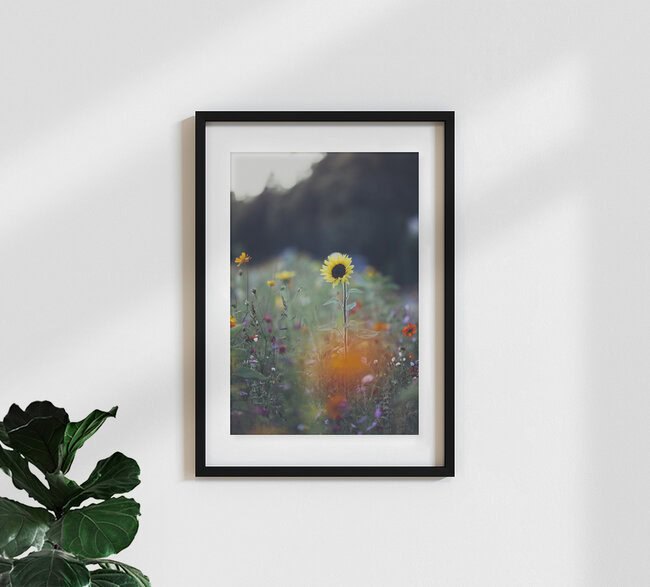 Sommerblumen am Straßenrand, Deutschland – Fotokunst von Nadja Jacke als Poster oder Acrylglasbild