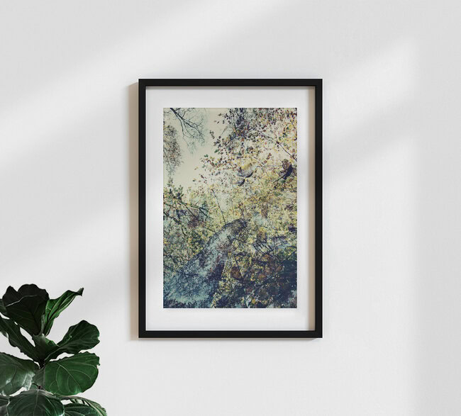 Herbstmuster, Germany – wall art by Nadja Jacke as Poster or Acrylic Glass Print