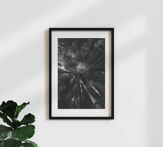 Bambuswald 007, Vietnam – Fotokunst von HEIKO HELLWIG als Poster oder Acrylglasbild