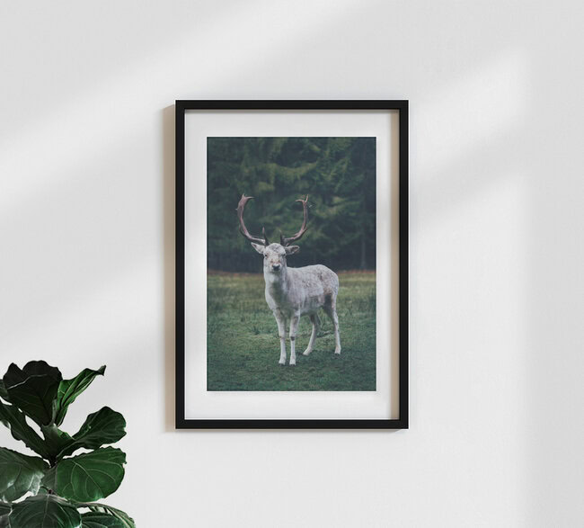 Forest creature, Germany – wall art by Patrick Monatsberger as Poster or Acrylic Glass Print