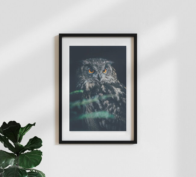 Bubo bubo, Germany – wall art by Patrick Monatsberger as Poster or Acrylic Glass Print
