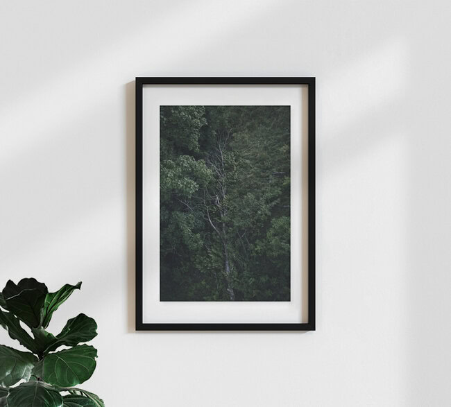 Kreislauf des Lebens im Wald, Deutschland – Fotokunst von Nadja Jacke als Poster oder Acrylglasbild