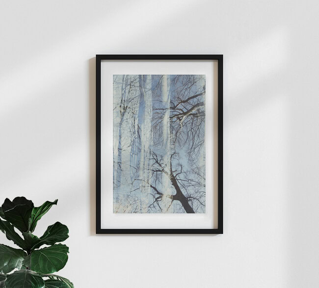 Kahler Buchenwald vor wolkenlosem Himmel, Deutschland – Fotokunst von Nadja Jacke als Poster oder Acrylglasbild