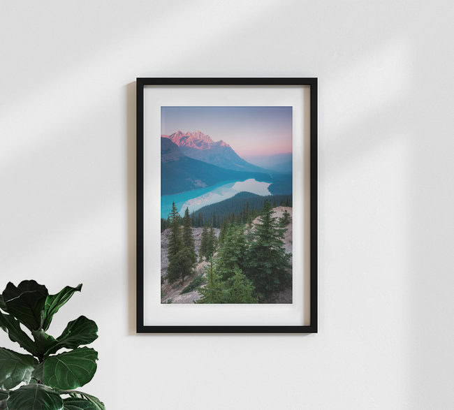 peyto lake, Canada – wall art by Christoph Schaarschmidt as Poster or Acrylic Glass Print