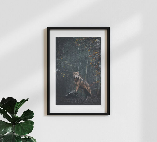 Anführer, Deutschland – Fotokunst von Patrick Monatsberger als Poster oder Acrylglasbild