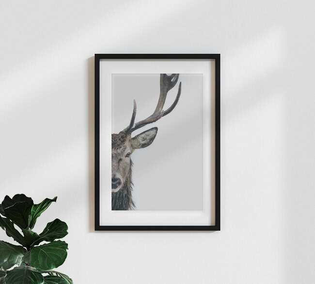 Look Me In The Eyes, Deutschland – Fotokunst von Patrick Monatsberger als Poster oder Acrylglasbild