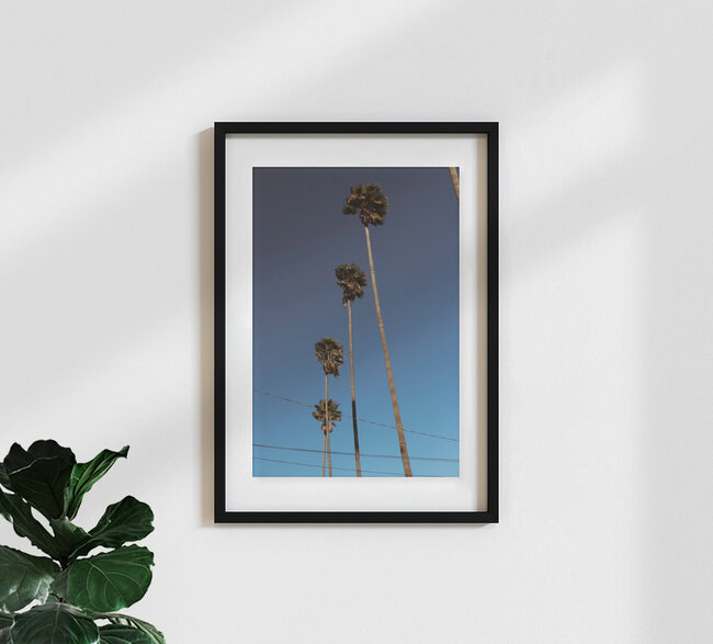 Everything is better with Palm Trees, United States – wall art by Ari Stippa as Poster or Acrylic Glass Print