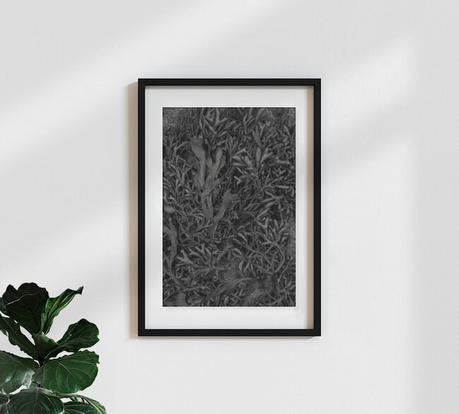 Love from the Sea, Ireland – wall art by Studio Na.hili as Poster or Acrylic Glass Print