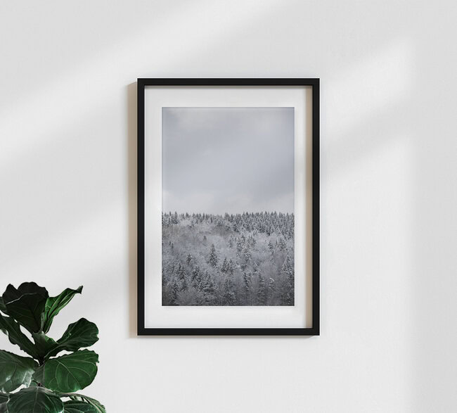 White Winter Forest, Czech Republic – wall art by Studio Na.hili as Poster or Acrylic Glass Print