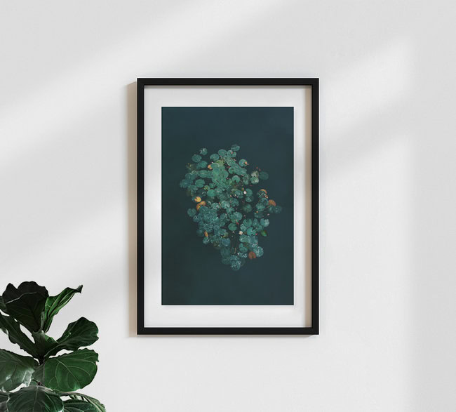 Seerosen, Belgien – Fotokunst von Katja Kemnitz als Poster oder Acrylglasbild