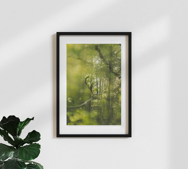 Frühling im Teutoburger Wald, Deutschland – Fotokunst von Nadja Jacke als Poster oder Acrylglasbild